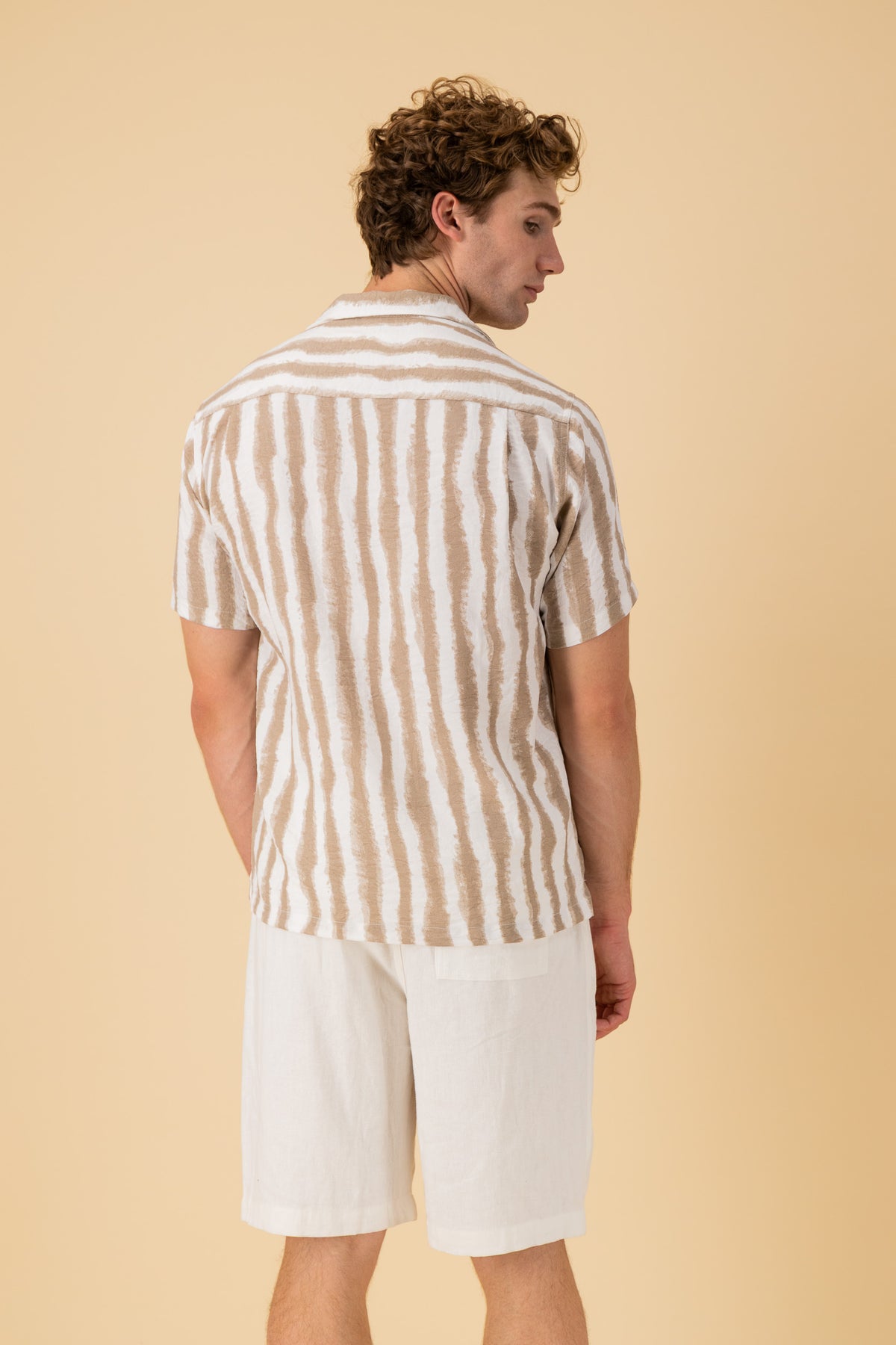 SS Shirt Nylon Rayon Paint Stripe Mocha, back view
