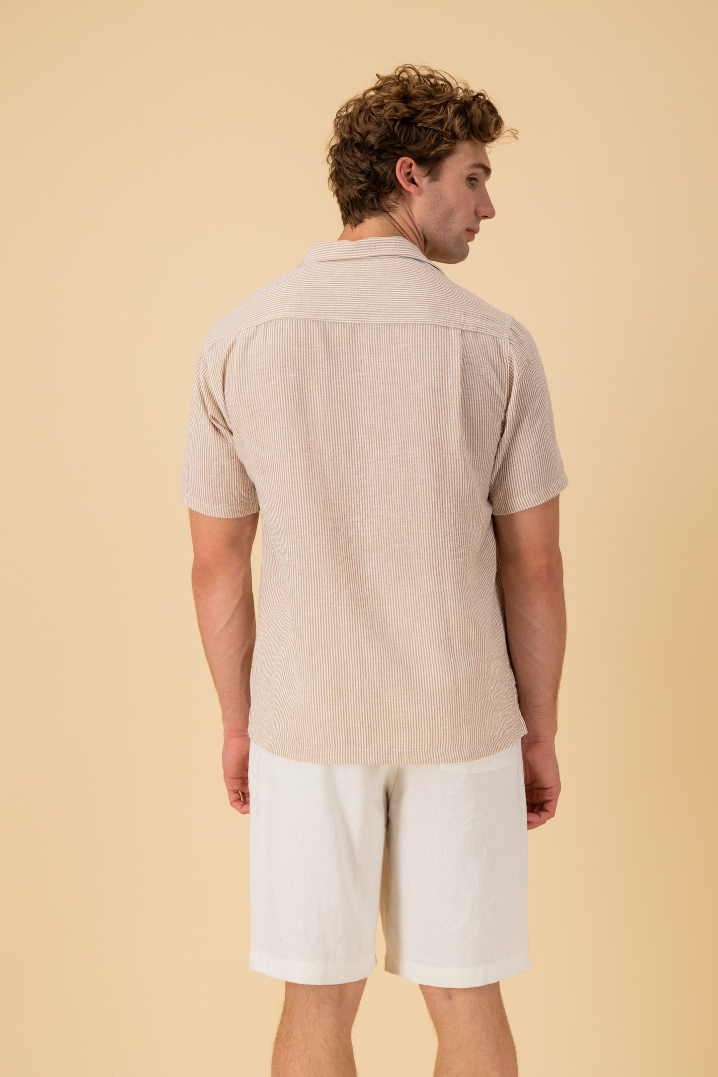 SS Shirt Nylon Rayon Thin Stripe Mocha, back view