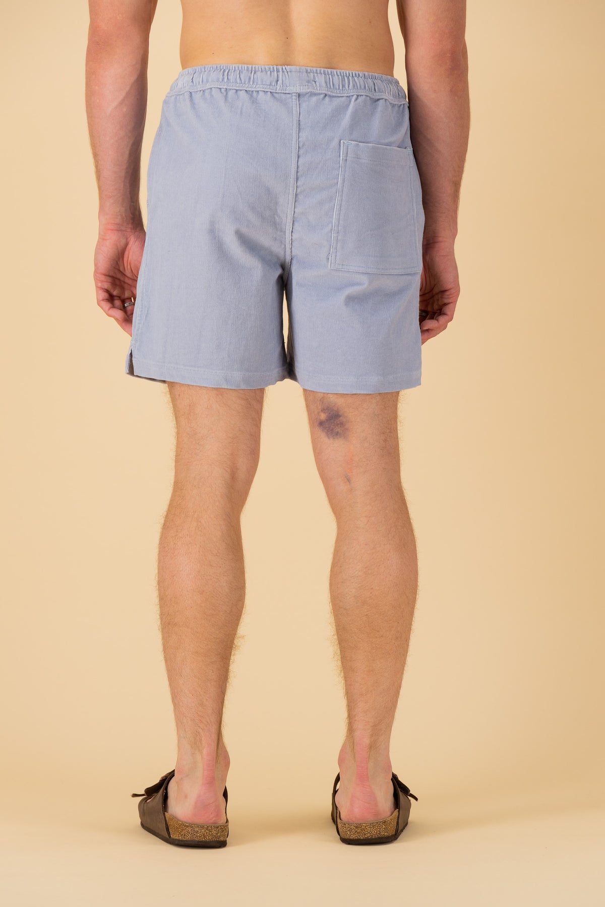 Shorts Cotton Corduroy Storm Blue, back view