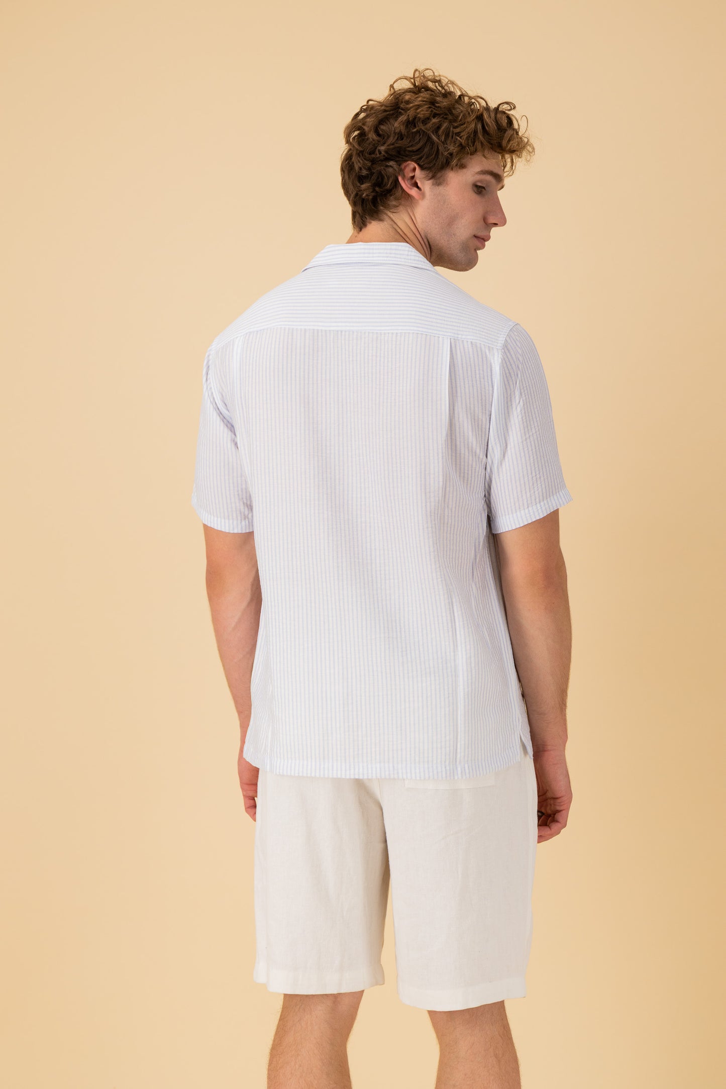 SS Shirt Nylon Rayon Stripe Sky, back view