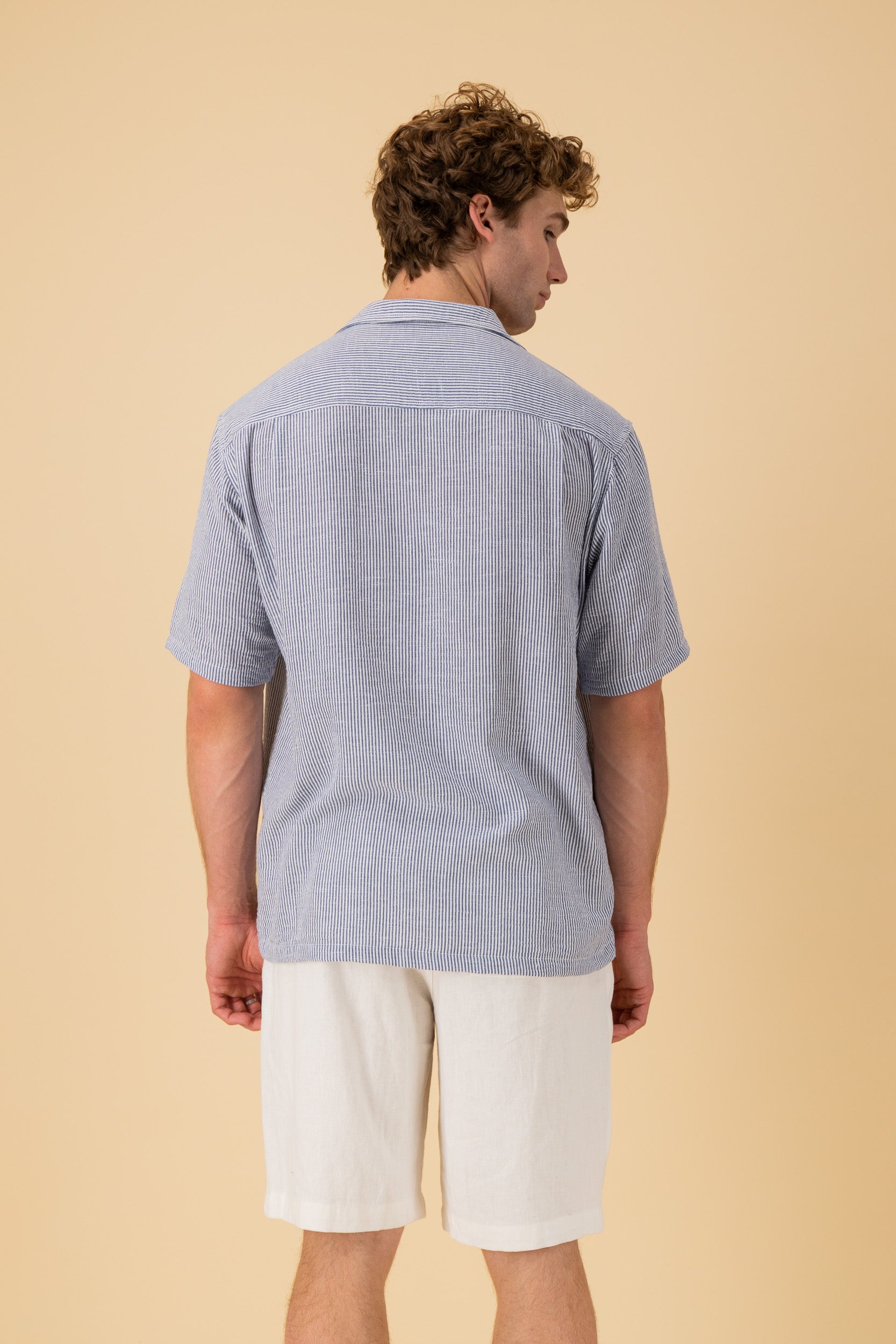 SS Shirt Nylon Rayon Thin Stripe Denim, back view
