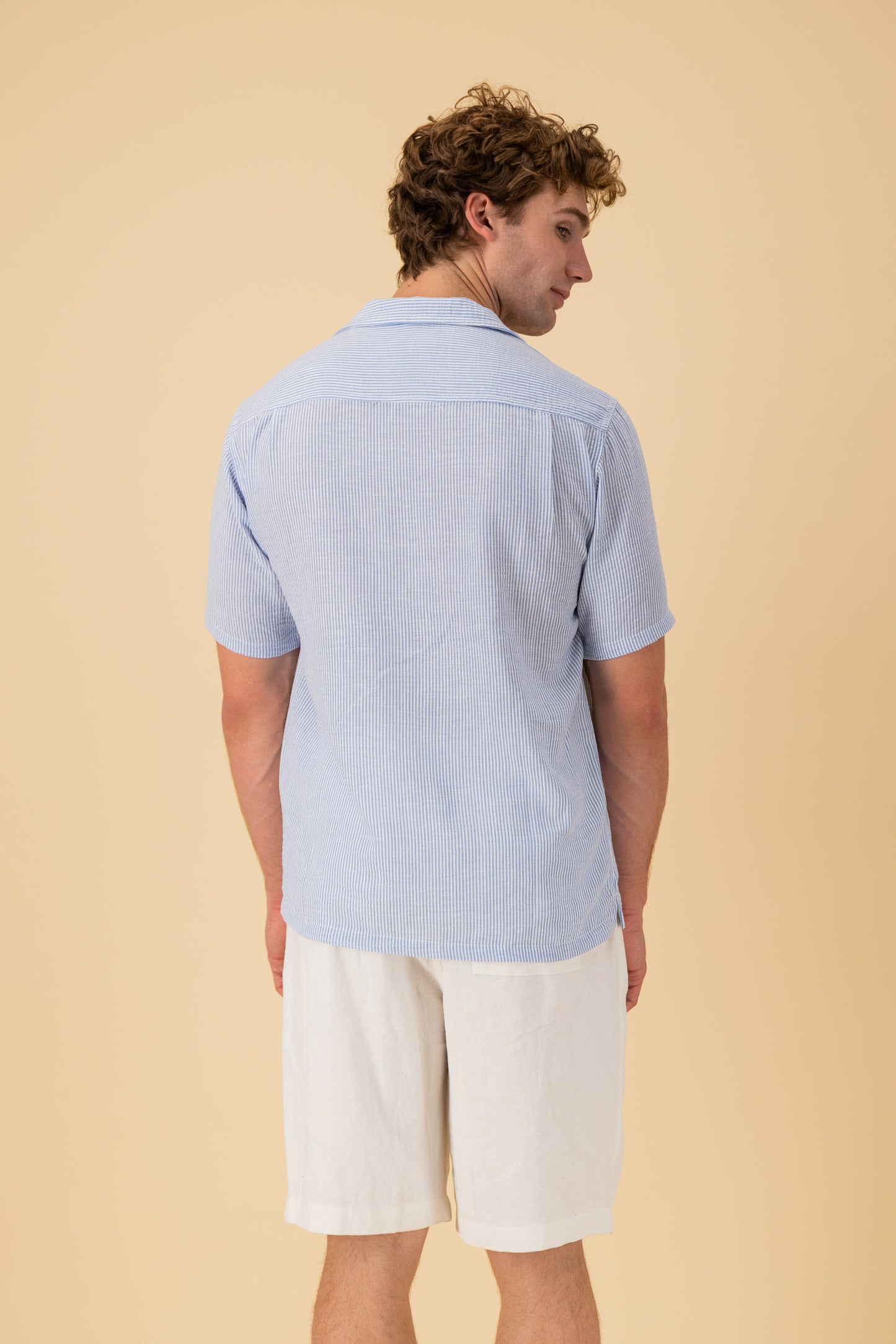 SS Shirt Nylon Rayon Thin Stripe Sky, back view